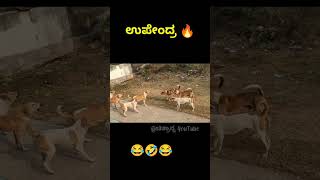 Download lagu Hilarious Karnataka Parliament Troll 😆 | Upendra about politics| #upendra #shorts #kannadanews mp3