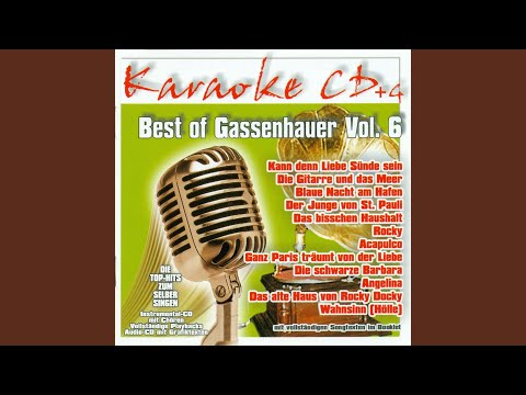 Das alte Haus von Rocky Docky (InstrumentalVersion)