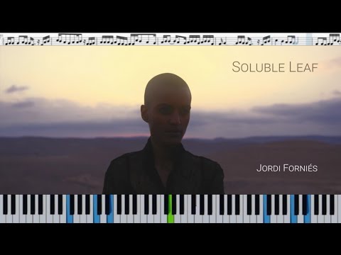SOLUBLE LEAF - Jordi Forniés (кавер на пианино + ноты)