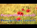 Pussywillow cattails with lyrics by Kenny Rankin