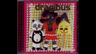 Dragibus - a crocodile in an aquarium