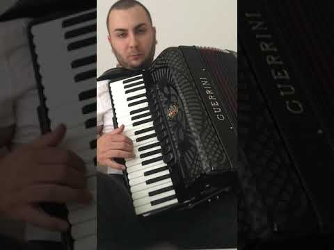 Gordana Stojicevic - Pala cuprija