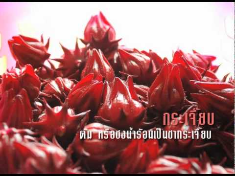 ยาโป๊บางเท การรักษาความอ่อนแอ Penza