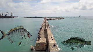 Рыбалка на черном море удочкой
