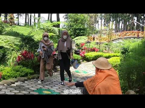 awalnya-penasaran-setelah-lihat-mukanya-auto-shock-dan-bikin-tertawa-sampai-bengek