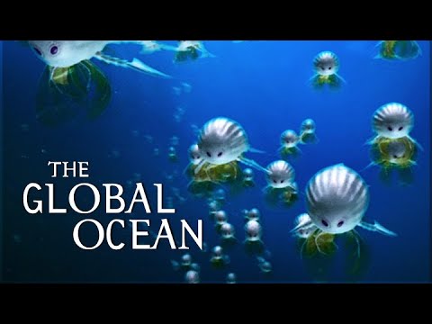 S1E10 Der globale Ozean: Die Zukunft ist wild