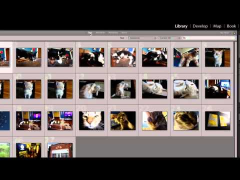 How to Run Lightroom in 64 Bit