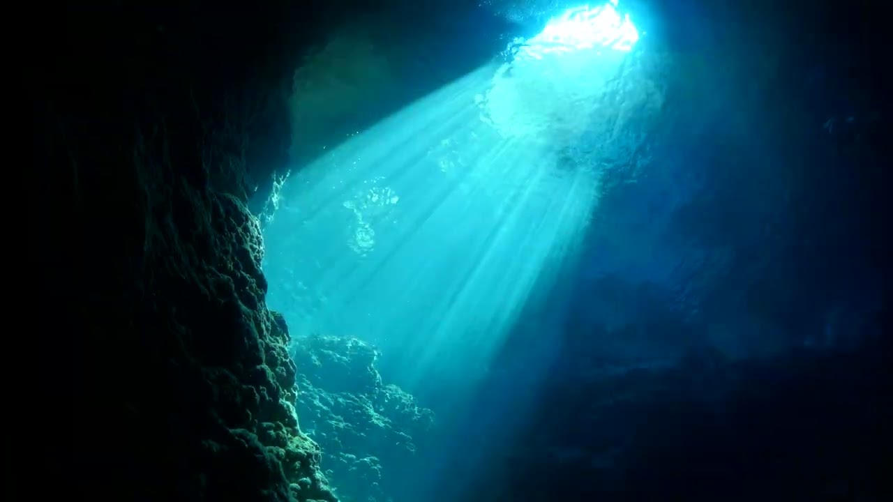 PROMASTER | MARINE Eco-Drive DIVER 200m Limited-edition Models