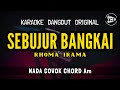 SEBUJUR BANGKAI RHOMA IRAMA KARAOKE DANGDUT ORIGINAL NADA COWOK