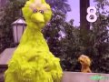 Sesame Street Big Bird And Zoe Count To 17