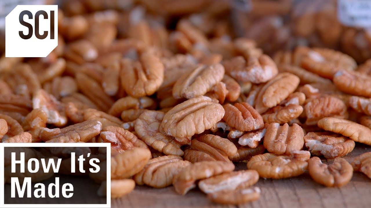 Watch video How Pecans Are Manufactured | How It’s Made Now How Pecans Are Manufactured | How It’s Made