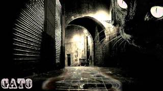 GATO CALLEJERO -Moncho Maes-