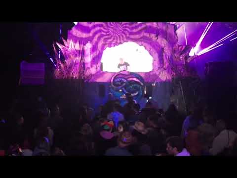 Wavelength - LIVE @ Timeless Festival 2025