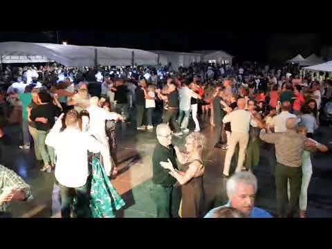 ORCHESTRA PAOLO BERTOLI - Cucciolo (live)