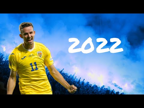 NICUSOR BANCU - SKILLS & GOALS