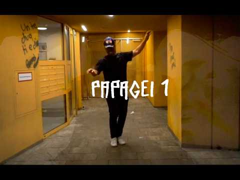 Video thumbnail for Papagei 1