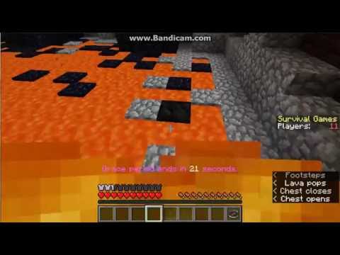 im entity 303 fire playing hunger games