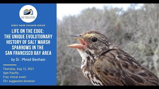 The Unique Evolutionary History of Salt Marsh Sparrows in the San Francisco Bay Area by Phred Benham