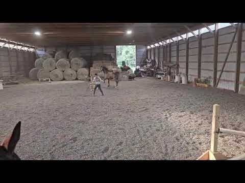 Muntasir - Rebecca Lutton 