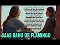 Saas Bahu or flamingo Series Explained in Hindi - Naina & Bijlee love story - MOVIES POINTER