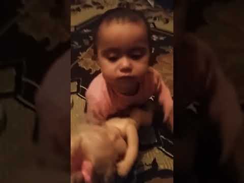 14 октября 2019 г.