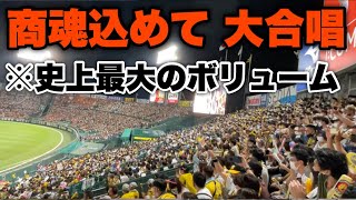 Re: [分享] 日本職棒宣布開放出聲應援的球隊