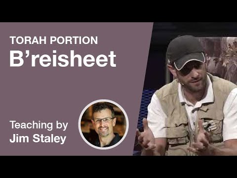 Torah Portion: B'reisheet