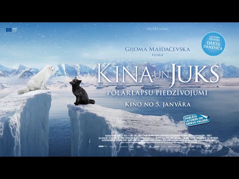 Galerijas bilde 1: Kinoseanss / KINA UN JUKS: POLĀRLAPSU PIEDZĪVOJUMI