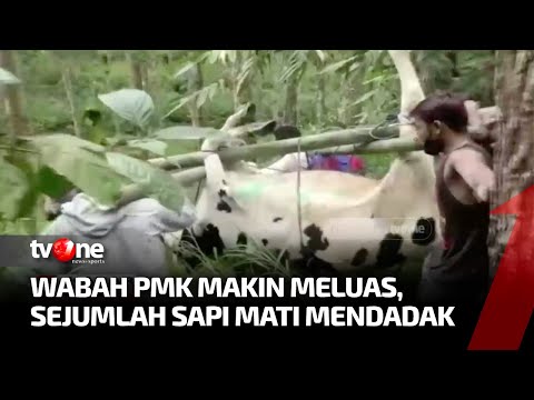 , title : 'Wabah PMK Makin Mengganas, Ribuan Sapi di Jatim Mati | Kabar Petang Pilihan tvOne'