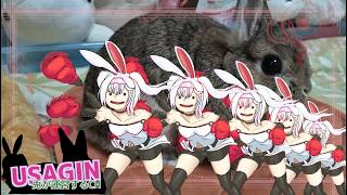 【ぽこ あ ポケモン】まともに進むか分からないうみぞこの街260813【うさぎが運営してるVtuber】