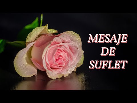 Mesaje de Suflet | Soul Messages | @cristina-clipurimotivationale