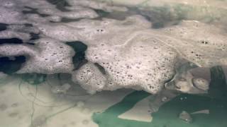 Ian William Craig - Contain (Astoria Version) - album teaser