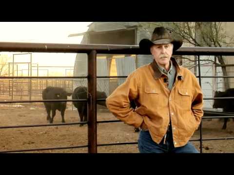 Thumbnail for Toyota Tundra Greensboro, High Point, Winston Salem - From Toyota Videos.flv by Toyota FLV