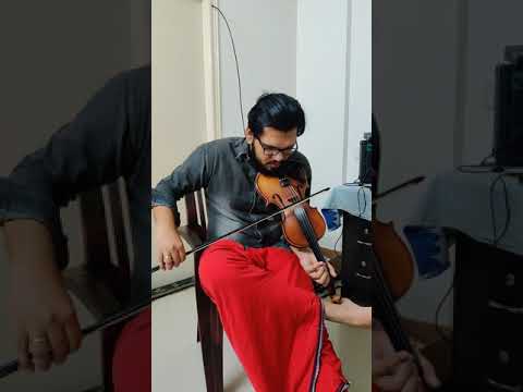 Aruna Kiranamaniyum Kizhakkunarum Pakshi Movie Song in Violin by Harikrishnan Payyavoor