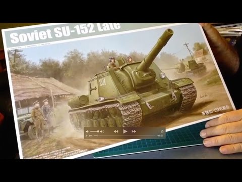 CBD for Cats Video Preview