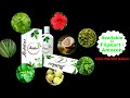 Herbal Hair Oil For Fast Hair Growth How To STOP Hair Fall Grow Hair Faster Men Women