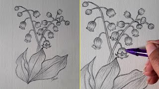 How to draw Lily of the Valley | Pencil Sketch | Sinoun Drawing