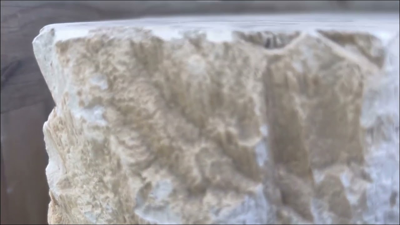 Пенёк из окаменелого дерева 140 кг