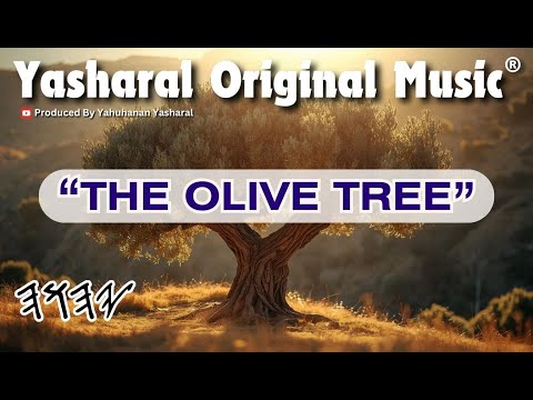 Yasharal Original Music: The Olive Tree