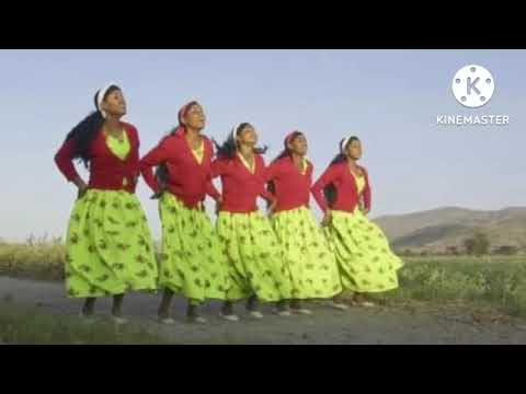 Bilisummaa Raggaasaa Habaabo Habaabiyyo360p