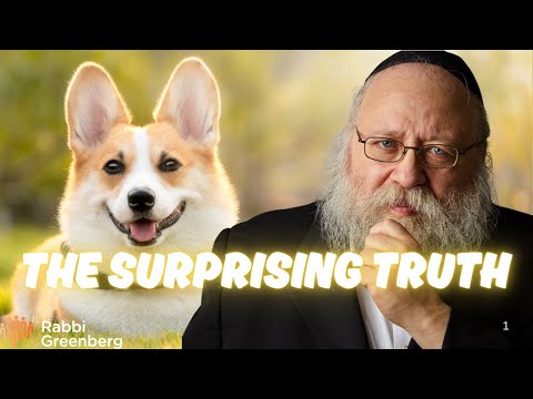 DOGS MADE TORAH SCROLLS?! 7 INSANE Jewish Dog Facts That Will Make Your Rabbi GASP!