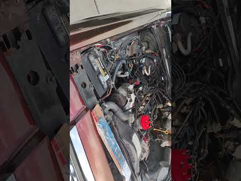 Thumbnail for 1986 Ltd crown Victoria 5.0 302 engine rebuild