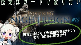 【ELDEN RING NIGHTREIGN ＃】10 守護者「まるで盆とカリゴが一緒に来たみたいだ」