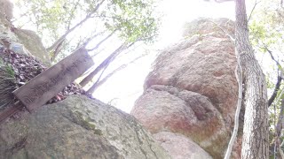 2022.12.09 高砂の竜山にジャイアント馬場顔の岩があると聞いて