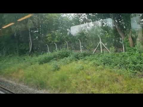 Warnborough to Guildford by Train