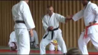 preview picture of video 'Stage Karaté Shotokan Marly la Ville  01 jun 2014'