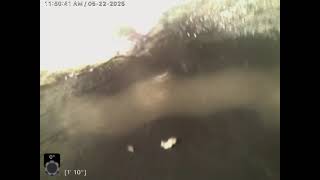 19692 DERRINGER DRIVE