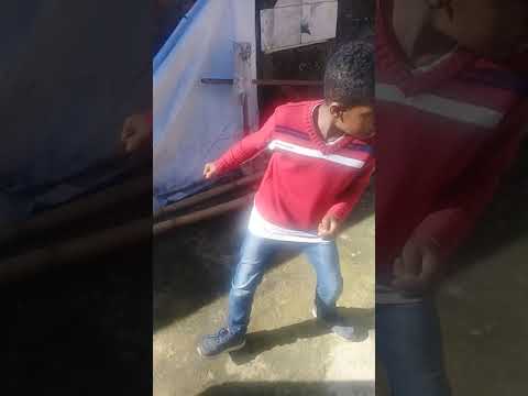 Eu te amo cachorro Mc rafa Original Mkr - Adestrador Delas (Dj Kennedy Obraboo)