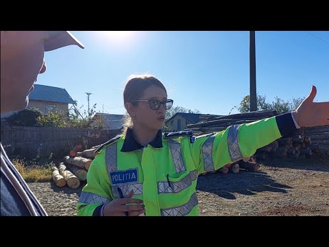 Mafia lemnului a fost lovită din nou de Cattani!Poliția Vălenii de Munte în acțiune!