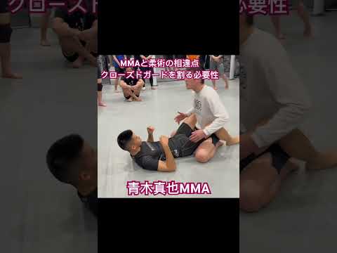 MMAと柔術での相違点　青木真也MMA #rizin #パラエストラ八王子